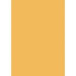 Výkresy Herlitz 50 x 70 cm, 10 hárkov, 300 g, farba marhuľová